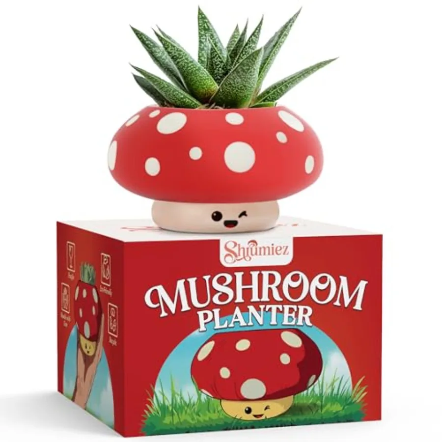 

Mushroom Planter Unique Cute Small Mini Succulent Plant Pot with Drainage for Indoor Plants and Cactus Fun Funky Happy Smiley S