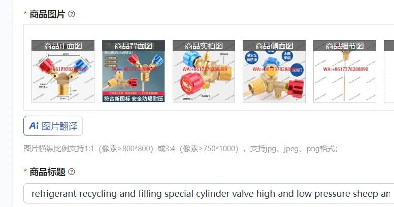 refrigerant recycling and filling special cylinder valve high and low pressure sheep angle valve explosion-proof refrigerant