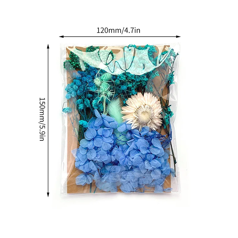 DIY Natural Dried Flower Resin Fillings Real Flower for Home Decoration Nail Art Handicrafts Jewelry Making Resin Crafts