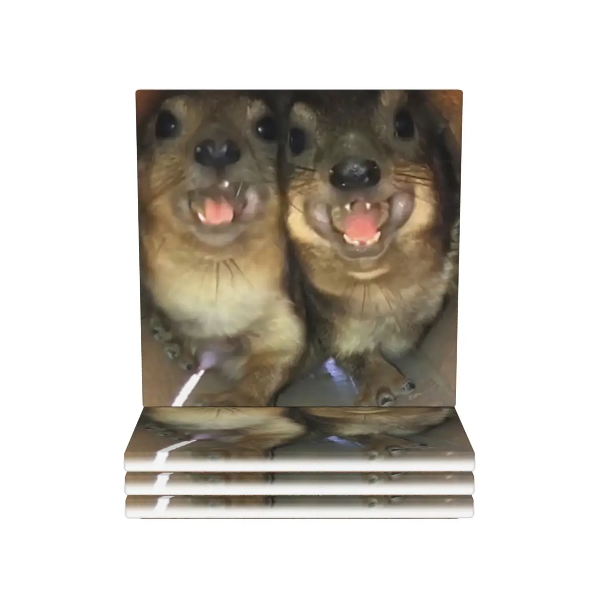 

Rock Hyrax Funny Meme Coaster Ceramics Hot Pad Accessories For Table Utensils For Kitchen Placemats For Dinner Table Coffee Mat