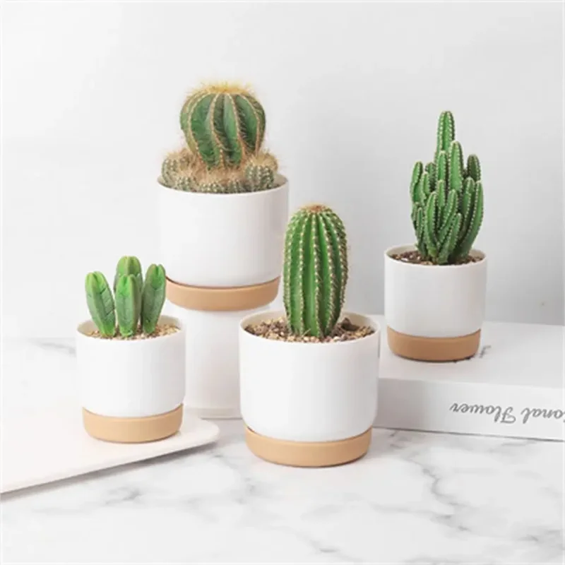 

Self Watering Flowerpot Automatic Water Absorption Storage Round Double-layer Succulent Planter Pot Small Green Plant Flowerpot