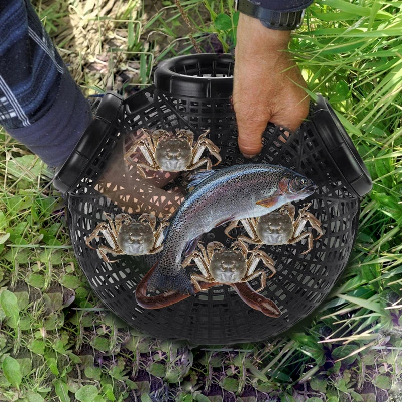 6 Holes Removable Eel Trap with Fixing Buckle, Portable Durable Crabs Trap Made of PP, For Lobster, Snail, Crabs, Shrimp, Fish