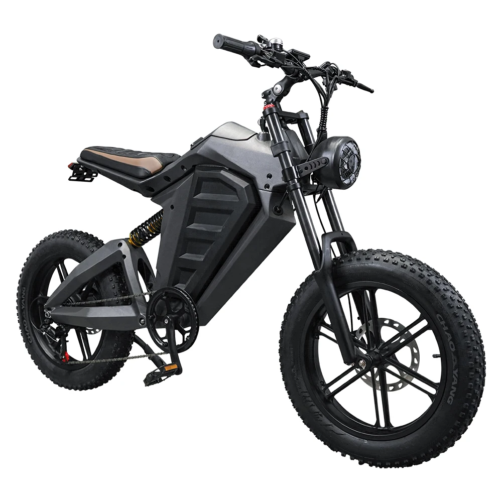 

New!!! 48v 750W 30Ah Retro High Power Dirt Ebike E-bike Adults Bicycle 7 Speed Fat Tire Mountain Electric Bikes for Men custom