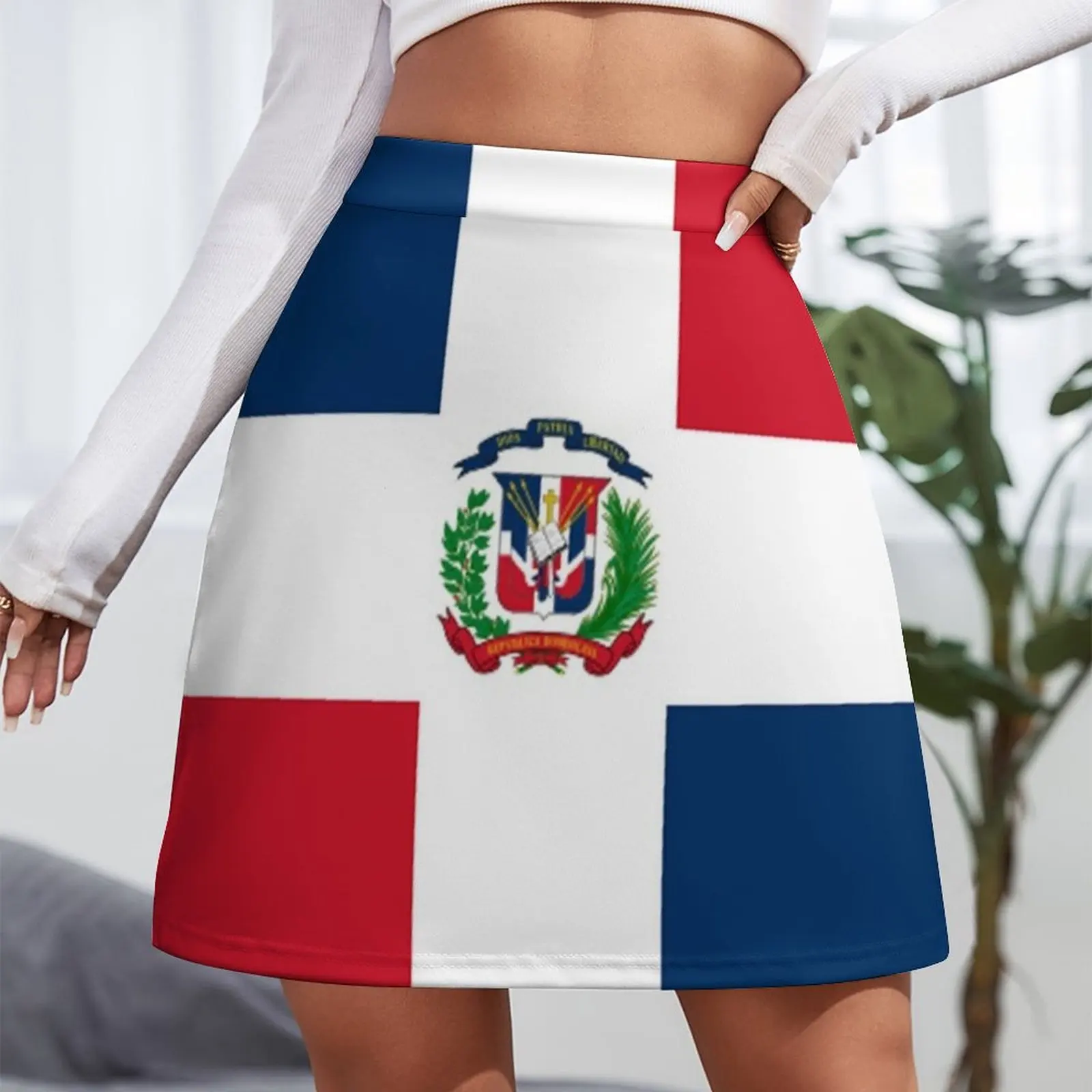 Dominican Republic Flag Mini Skirt dress women summer korean style summer clothes japanese fashion