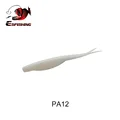 PA12