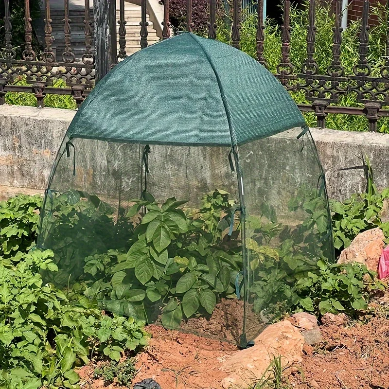 

Plant and Vegetable Protectors Insect and Sun Protection Plant Screen Protectors Greenhouse Tent