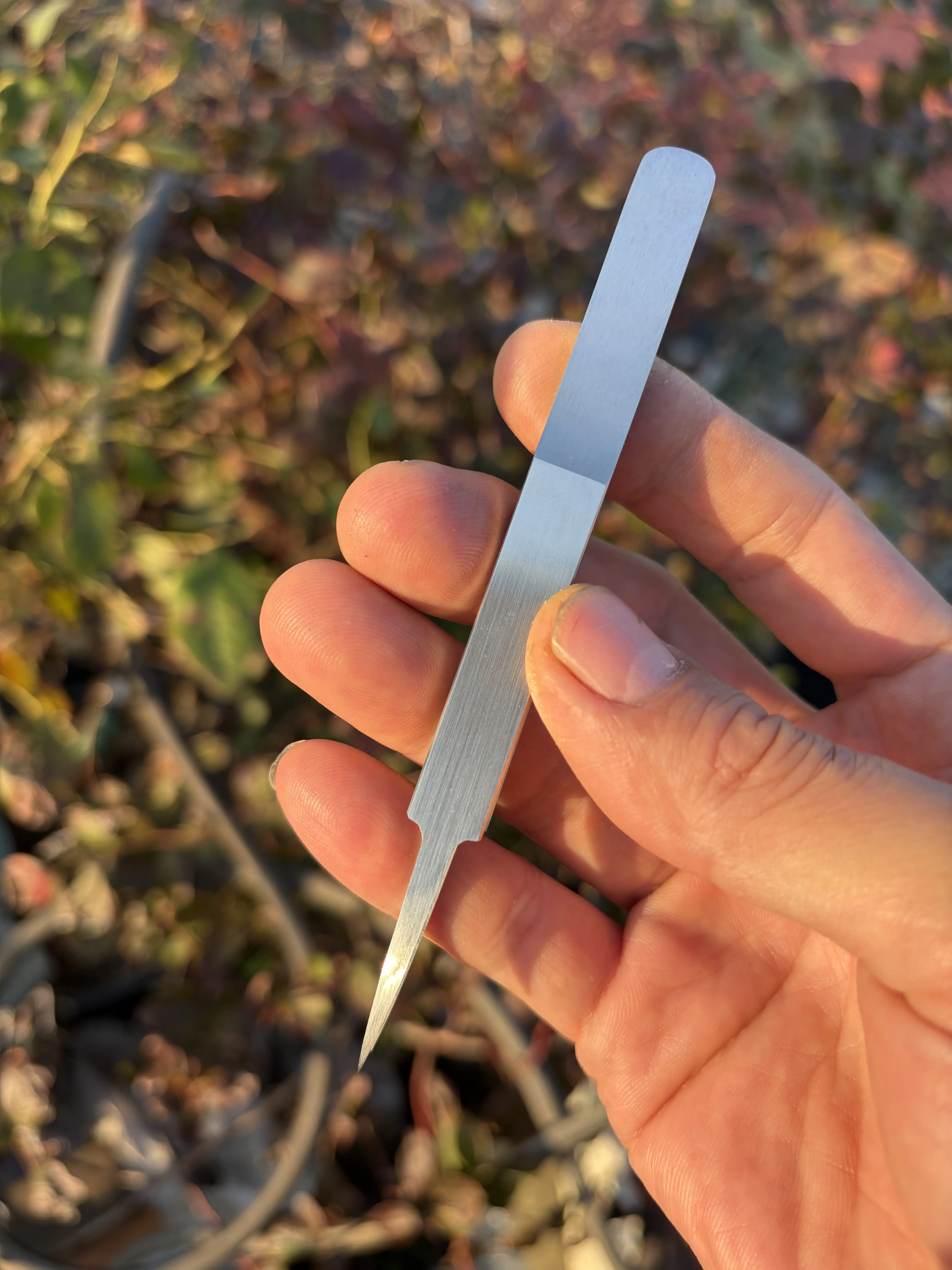 Manual 440c Stainless Steel Tweezers Super Hard Non-elbow Thick Wall High Precision Die Shape Military Mold Maintenance
