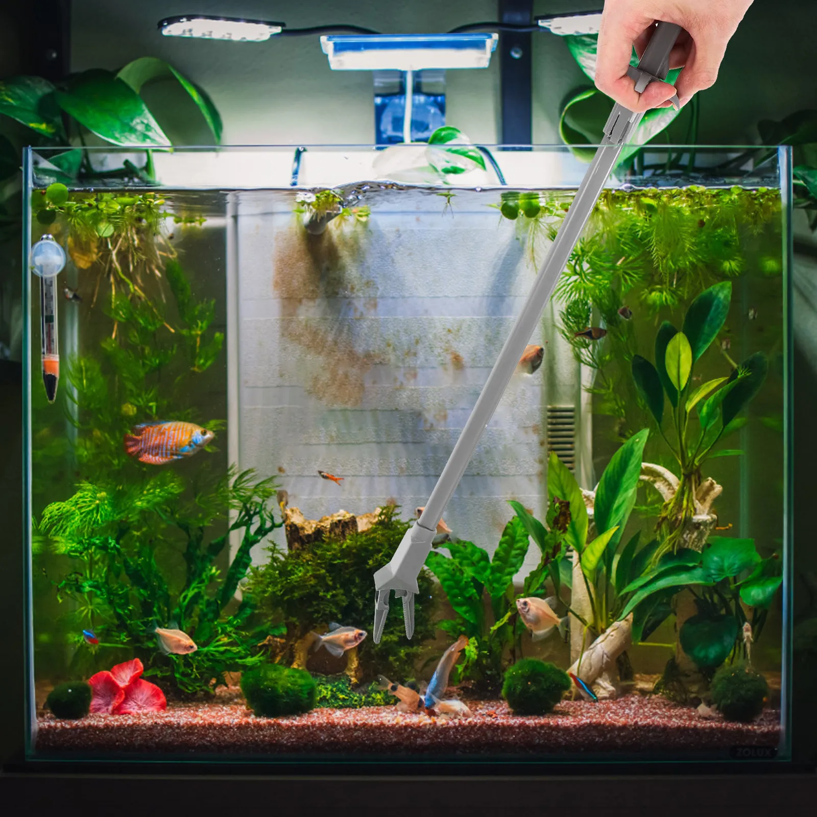 50Cm Aquarium Plant Tweezers P - Aquarium Plant Easy To Grow recension och pris