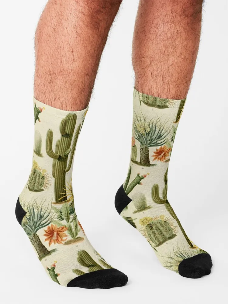 Chaussettes Cactus Naturalistes pour Hommes et Femmes, Marque de Luxe, Mode Japonaise