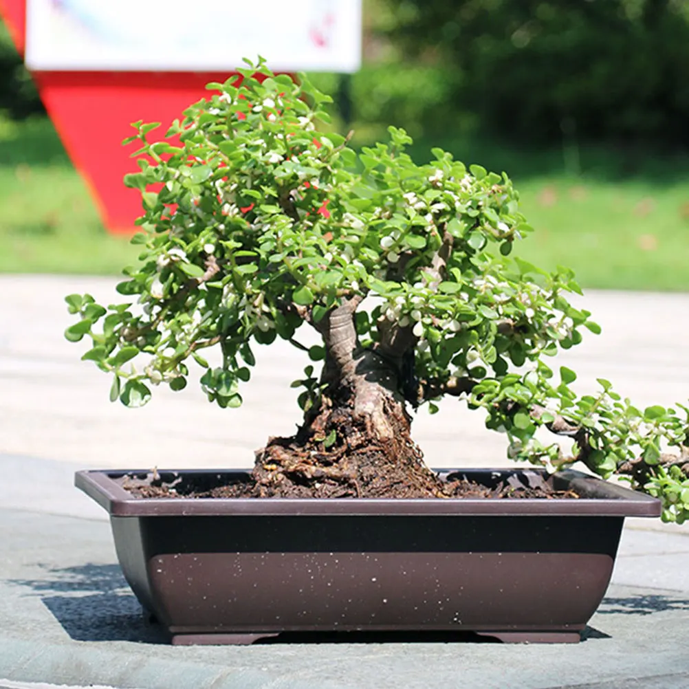 

4pcs Rectangular Flower Pot Large Plastic Bonsai Planter Window Box Container For Indoor Outdoor Gardening Home Space Saving