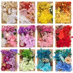 DIY Natural Dried Flower Resin Fillings Real Flower for Home Decoration Nail Art Handicrafts Jewelry Making Resin Crafts