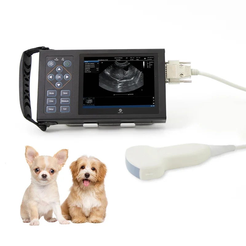 Veterinary Portable Ultrasound Sheep Pig Animal Prgnancy Scanner Veterinary Ultrasound Machine for Sale