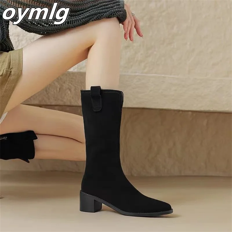 

Cowboy Boots Women's 2023 Autumn/Winter New Long Tube Boots Frosted Retro High Tube Boots Pointed Thick Heels Knight Boots