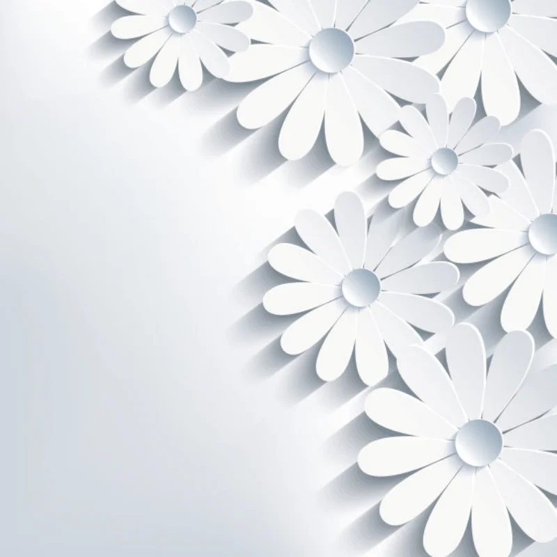 

WLtoys 144016 144018 RC Remote Control Car Parts Car Base Parts 144016-2973 Chassis