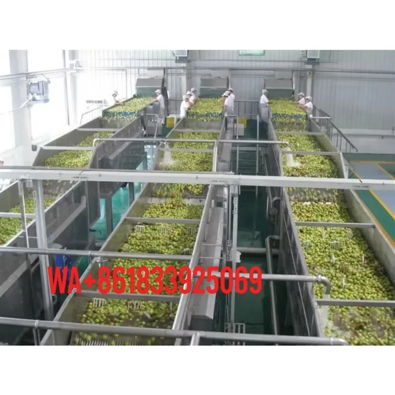 Raspberry Juice Beverage Puree Turnkey Production Line Stainless Steel 304 Automated CIP SIP System Factory Price Hot Sale