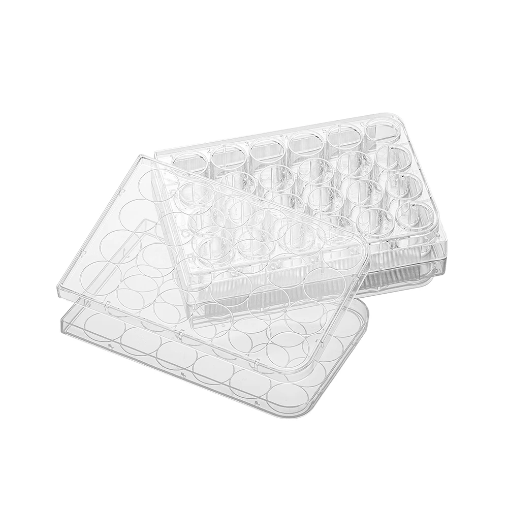 50pcs 6/12/24/48/96/384 hole Disposable Cell Culture Plate Bacterial Culture Plate Enzyme Label Plate Sterilization Packaging