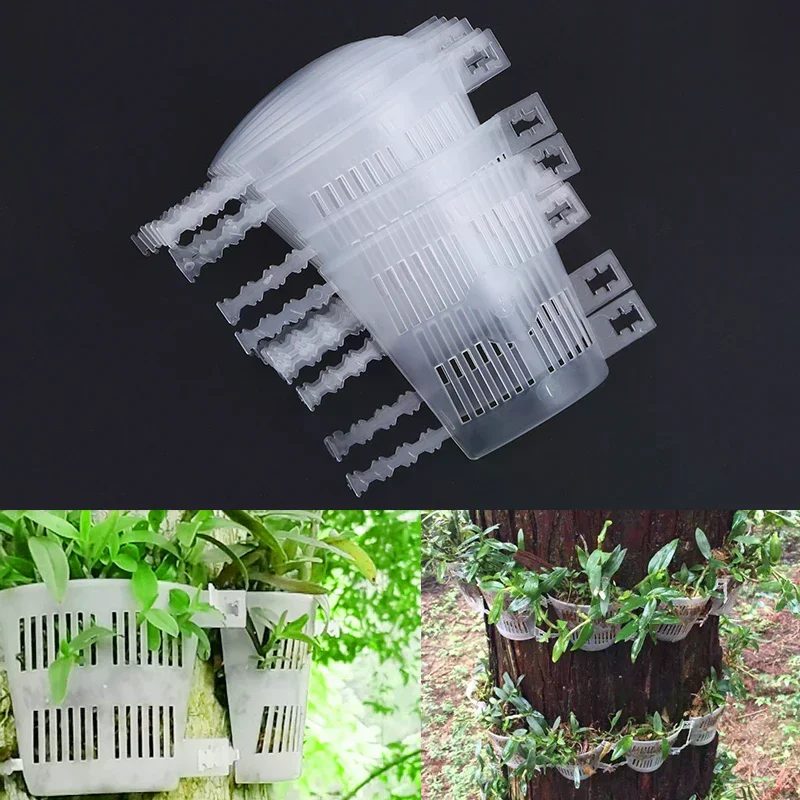 10pcs Orchid Planting Boards With Root-Control & Aeration Dendrobium Mounting Panels For Bonsai Indoor/Outdoor