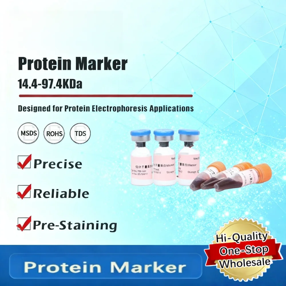 Protein Marker For Low Molecular Weight Protein Detection In Electrophoresis And Laboratory Research Original Product