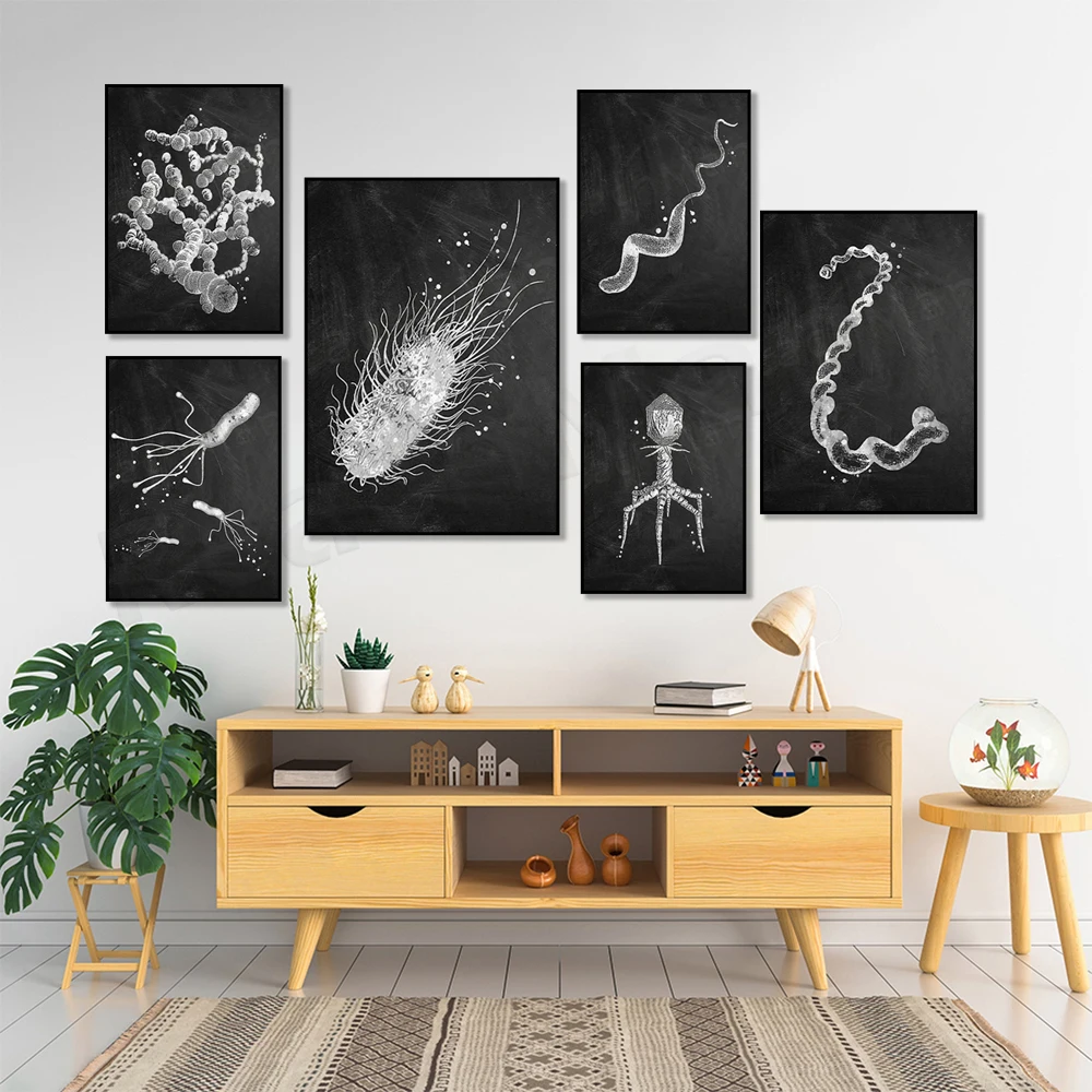 Affiche sur les types de bacté - Medical Lab Posters avis et prix