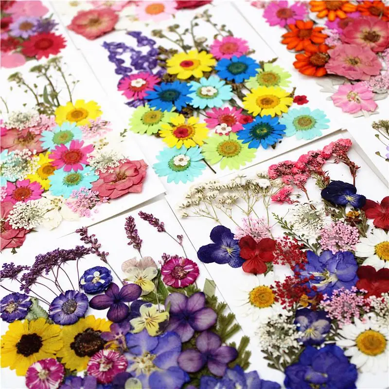 1Pack Dried Flowers Dry Plants For Rsein Molds Fillings Epoxy Resin Craft DIY Nail Art Decoration Pressed Flowers