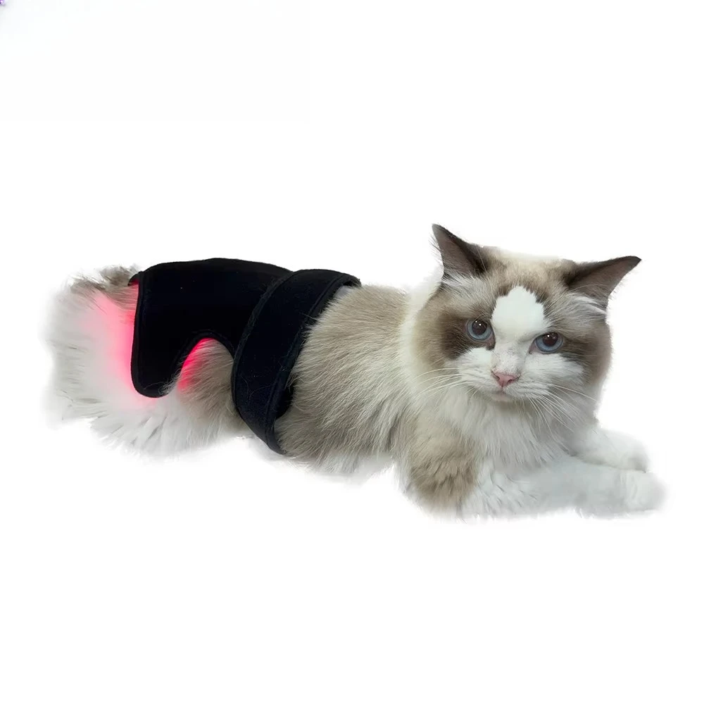 Medical LED Red Light Therapy Belt for Dog & Horse Back 660nm 850nm Infrared PDT Machine for Body Application