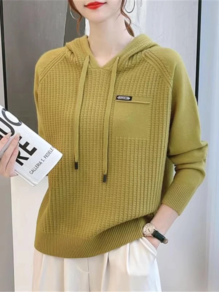 Loose Women's Hoodie Knitted Pure Color Short Sweater Korean Style Comfortable Soft Long Sleeve Warm Autumn Spring Fashion