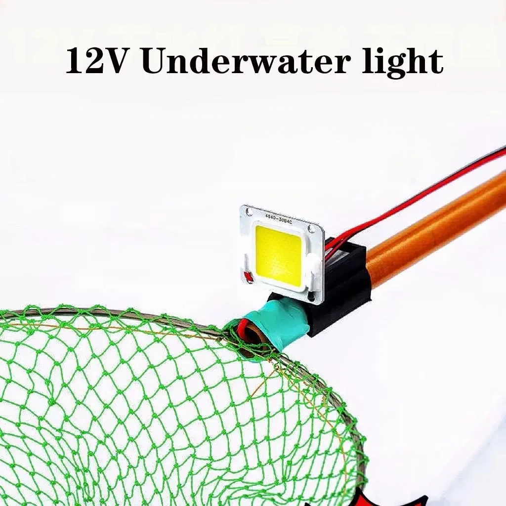 Catch Fishing Landing Net Pole Handle light, LED for Fishing net rod