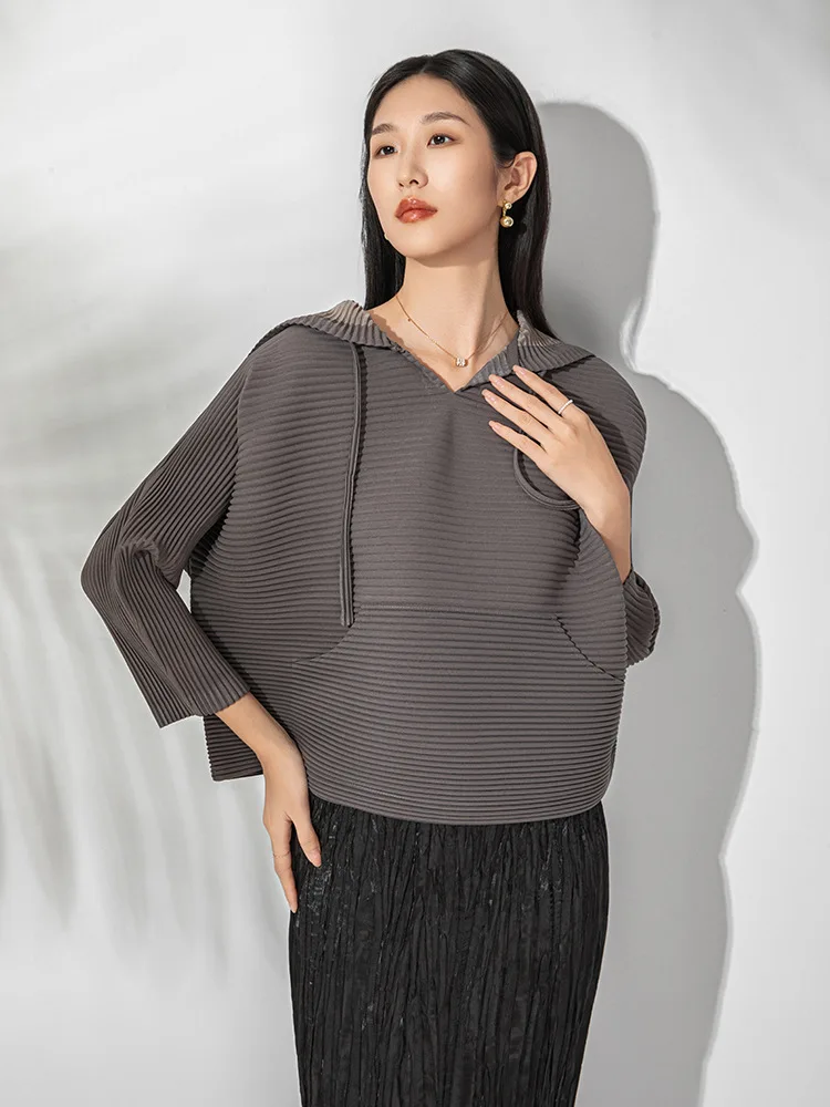 Miyake Pleated Hooded Sweatshirt, High-end, Thick Material, Loose, Fashionable, Casual, Versatile and Elegant Top