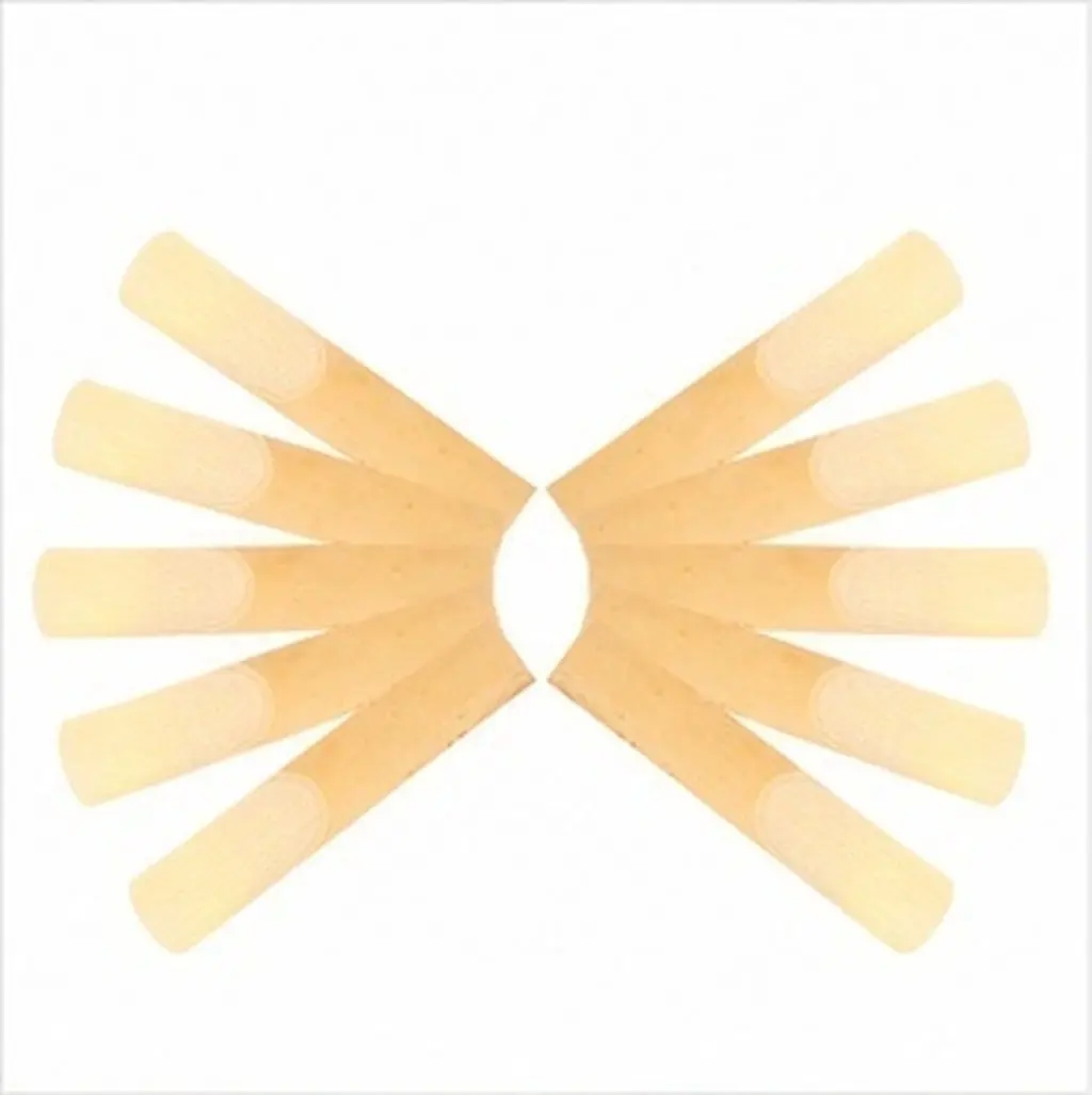 10pcs Clarinet Reeds for Beginners – Strong, Reliable, Compact Size Replacement Reeds for Performance & Practice