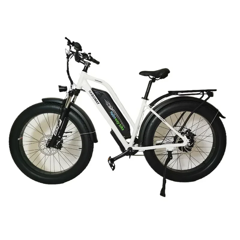 

Disc brake bicycle Hydraulic Disc Brakes Mountain Bike Electric Bicycle 26 Inch Suspension Aluminium Alloy Snow 4.0 Fat Tire