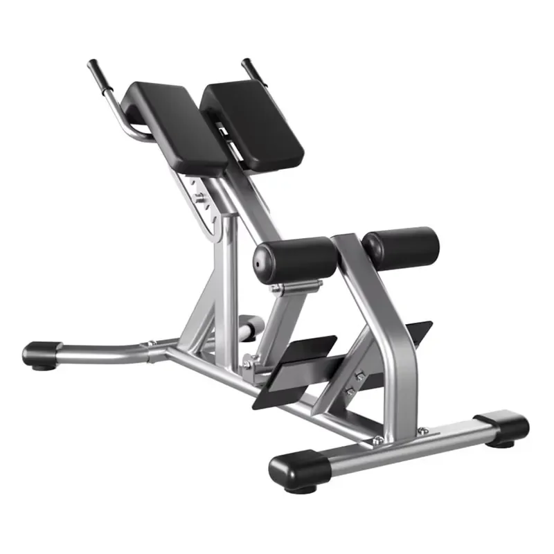 Stylish Customizable Roman Chair for Home Workout Body Conditioning Benches and Shelves