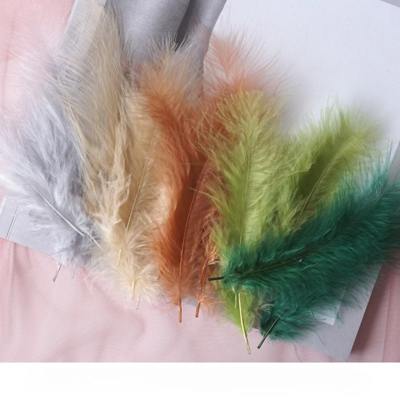 Рисунок 3 - куриные перья 9-15 см