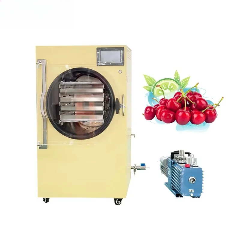 Low Price Home Sized Freeze Dryer Machine for Sale Freeze Dried Food Fruit Vegetable Home Freeze Dryer Lyophilizer Machine