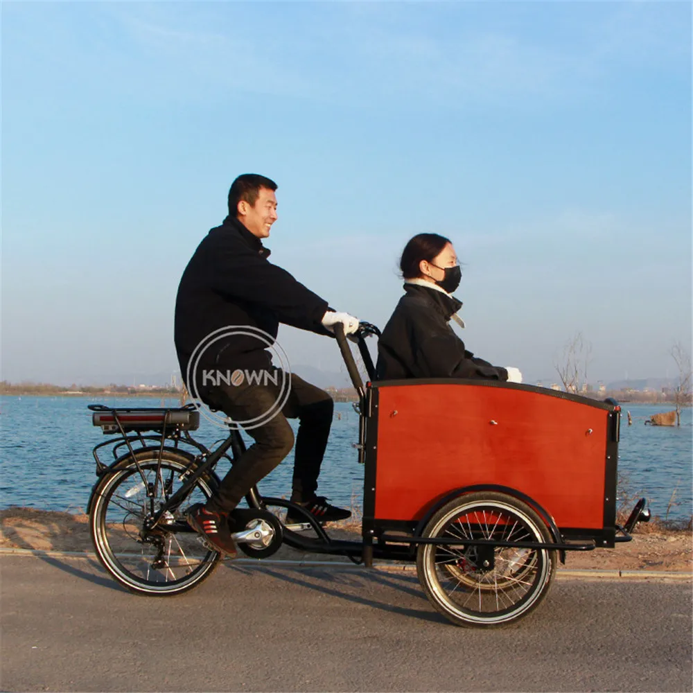 Electric Adult Cargo Bike Kids Pedal Tricycle Pets Babies 3 Wheels Bike Wooden Box Bikes For Business