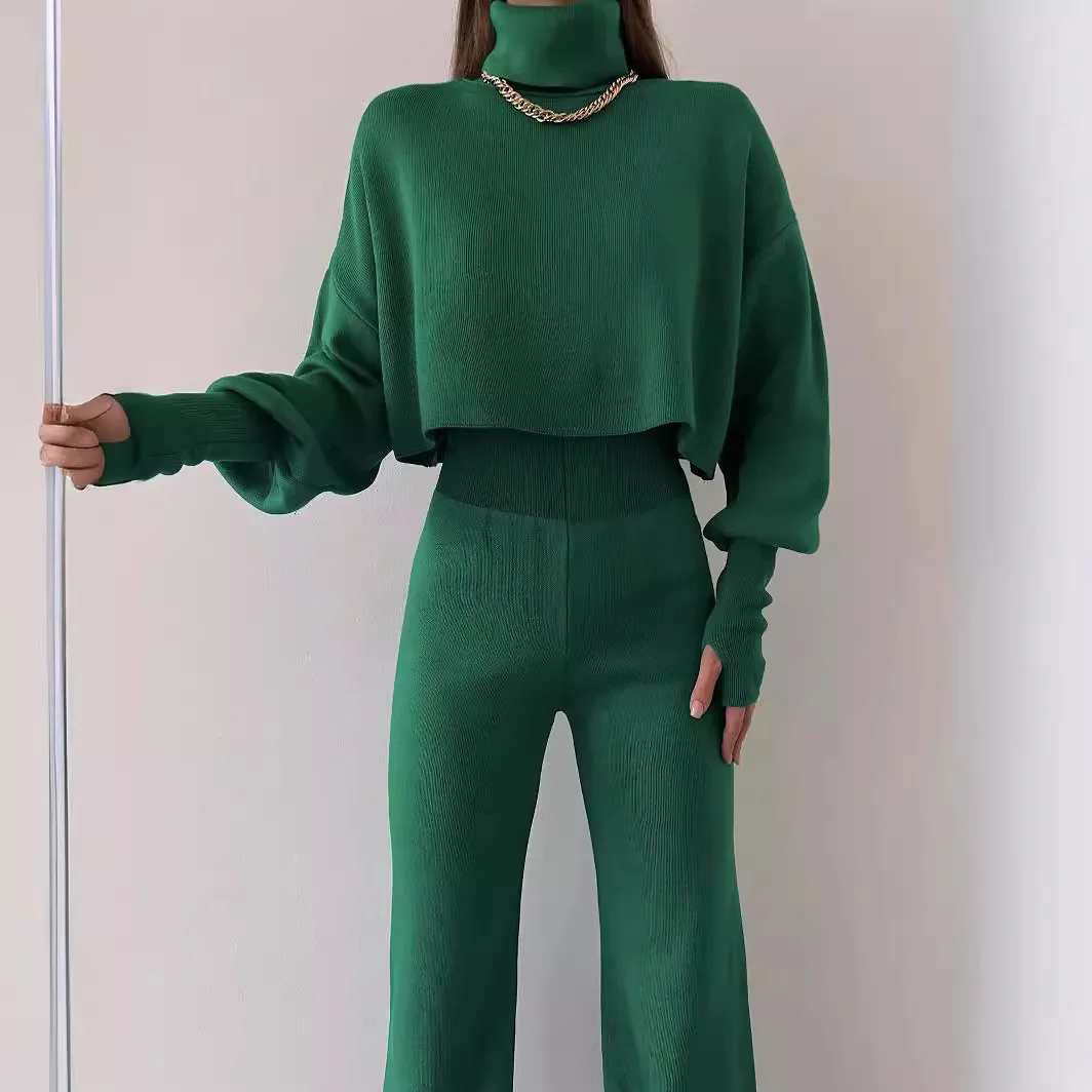 Women Autumn Winter 2pcs Clothes Set Solid Color Turtleneck Long Sleeve Sweatshirt & Loose High Waist Pants