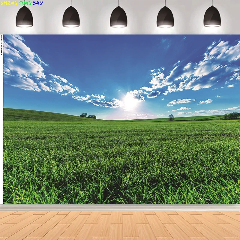 

Summer Scenery Forest Photography Backdrops Props City Buliding Grassland Sunlight Cloud Landscape Photo Studio Background HJ-13