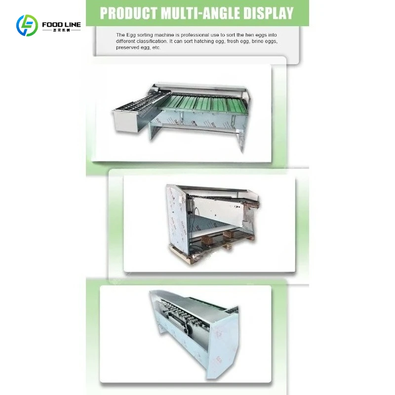 Stainless Steel Food Grade Egg Grader Sorter Machine 2000 Eggs/H Digital Scale Customized for Chicken Duck Small Poultry Farm