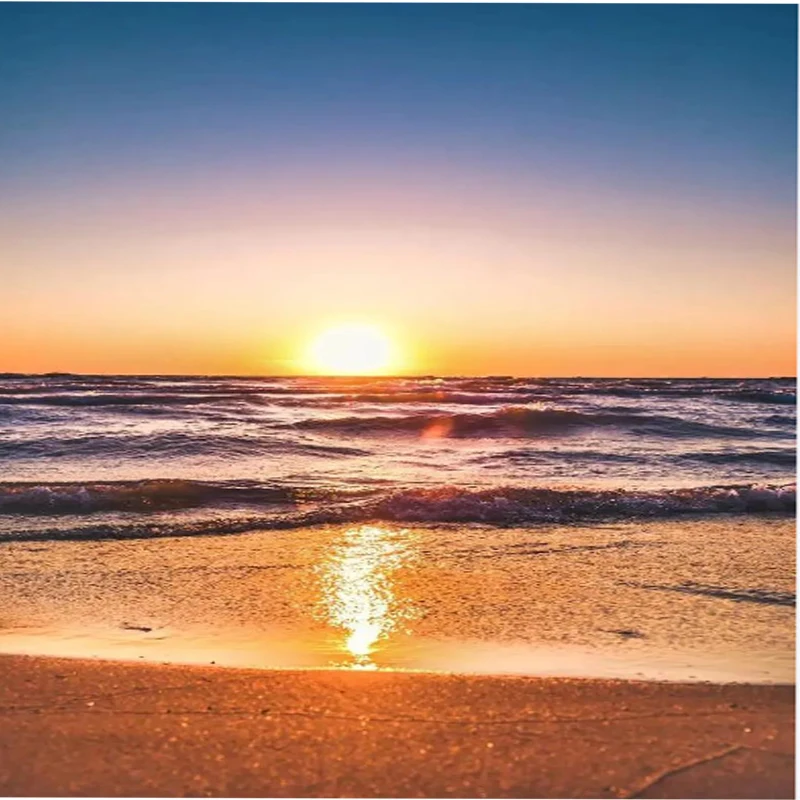 

Модуль программирования Wi-Fi Flycolor для бесщеточного регулятора скорости ESC серии Flycolor Kraken и WinDragon