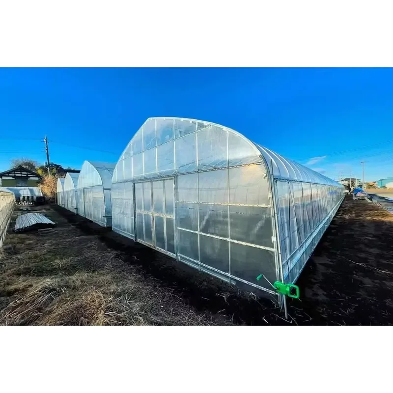Large-scale Passive Solar Winter Greenhouse: Single-span Tunnel Tomato Plastic Agricultural Greenhouse Equipment