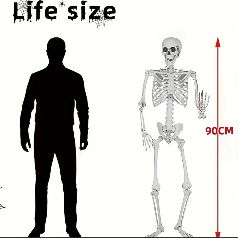 Halloween Skeletons Fake Full Body Skull Bones Movable Halloween Party Decor for Home Bar Haunted House Horror Props