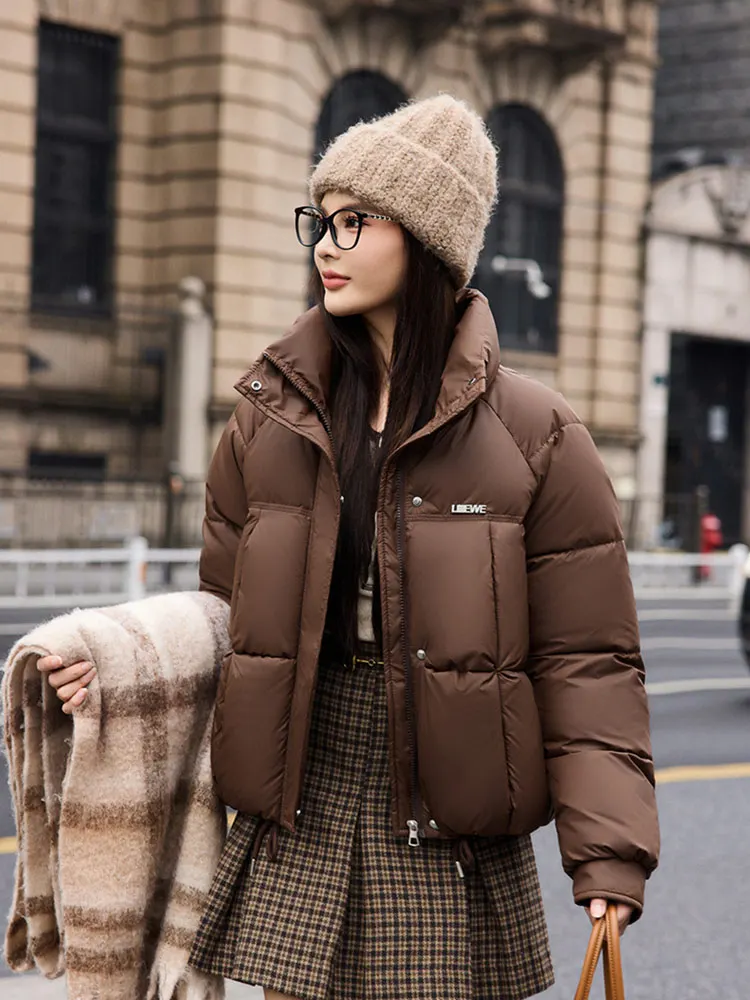 Vielleicht 2025 New Korean Winter Women's Down Cotton Jacket Short Cotton Padded Outerwear Stand Collar Ladies Winter Parkas