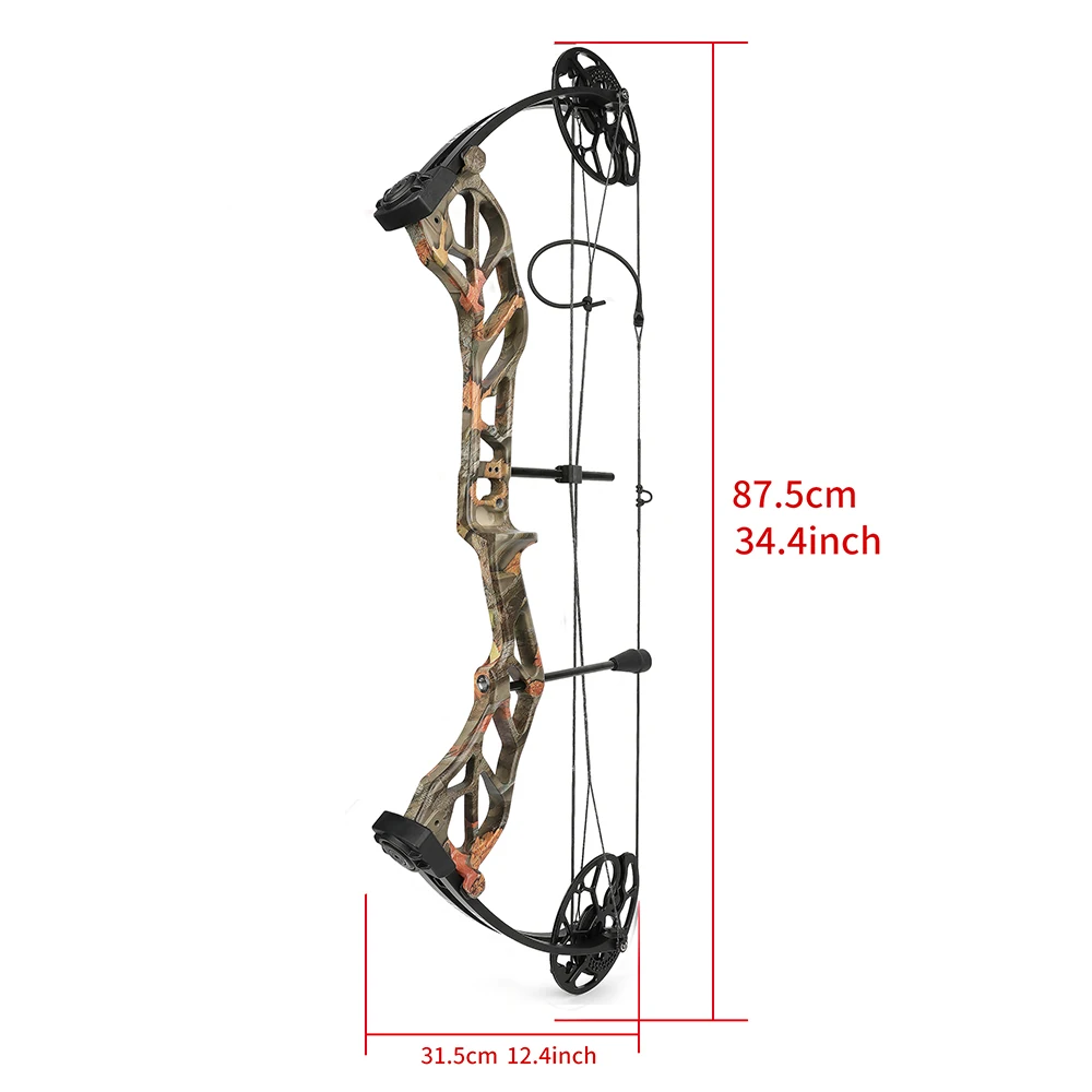 Archery Compound Bow 19-70Lbs Aluminum Alloy Riser 320fps Arrow Speed With Carbon Arrow Sight Release RH Bow Hunting Shooting
