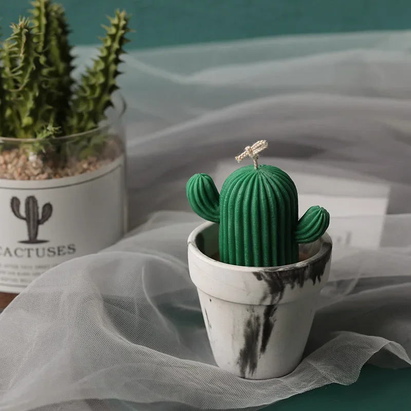 Mini specchio Cactus candela stampo in Silicone per decorazione Desktop fatta a mano gesso resina epossidica aromaterapia candela stampo in Silicone