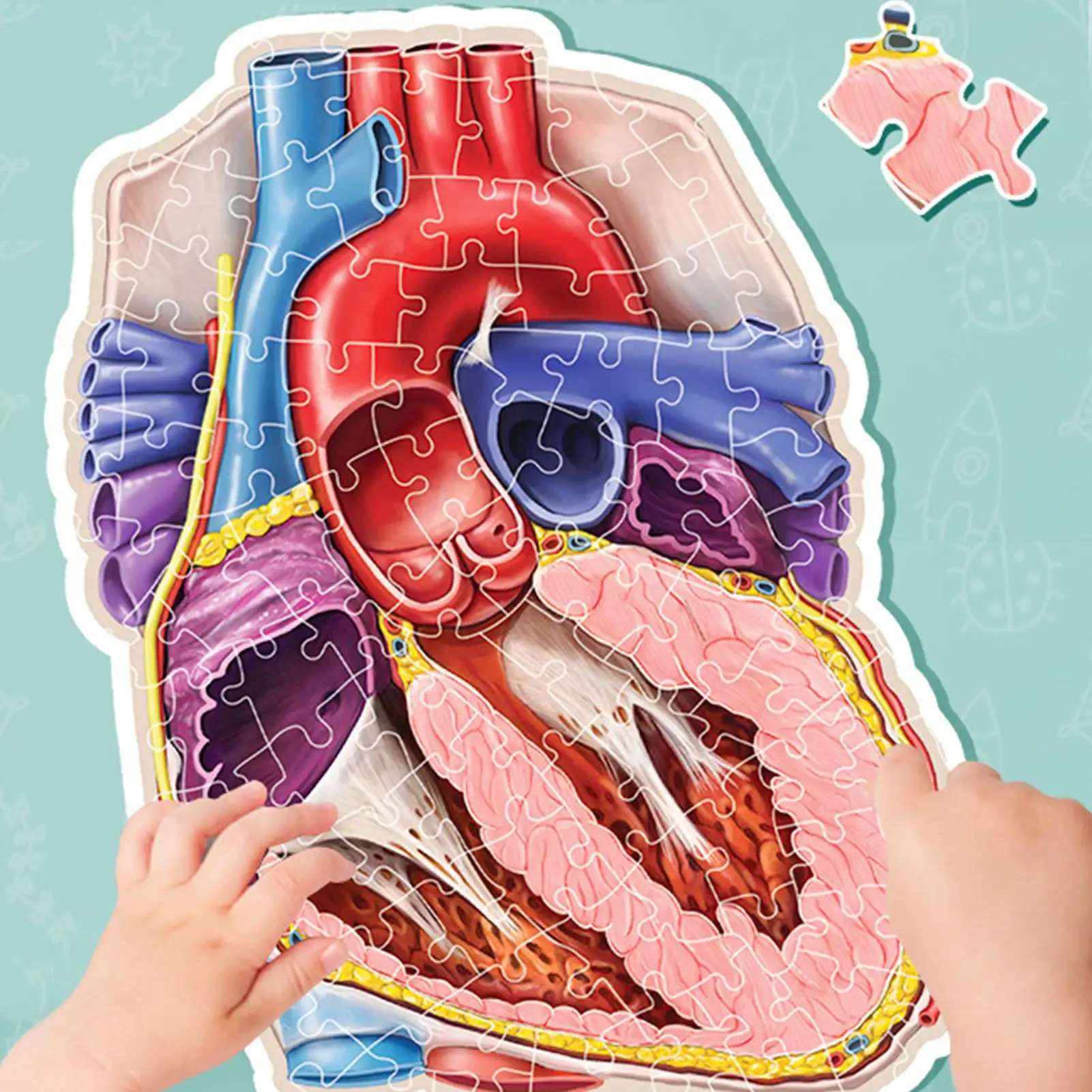 100 peças quebra-cabeças de cérebro humano inclinado modelo de anatomia do cérebro humano brinquedos educativos jogos científicos para adolescentes meninos meninas
