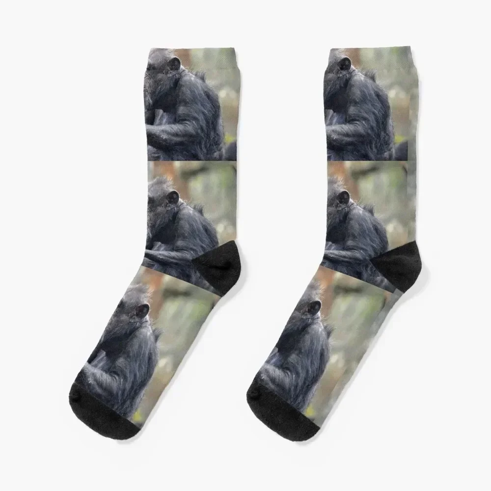 

Chimpanzee Socks Thermal man winter snow Women Socks Men's