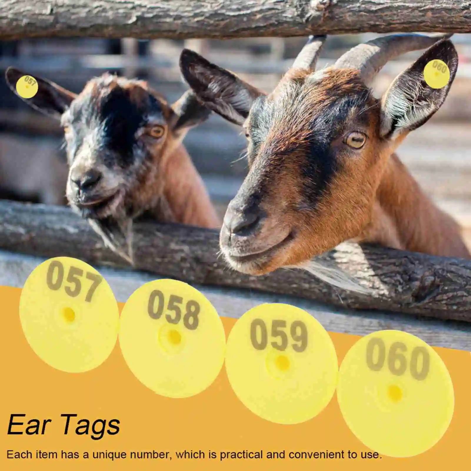 100Pcs/Set Sheep Goat Hog Pig Cattle Beef Cow Livestock Ear Number Tag Farm Animal Lettering