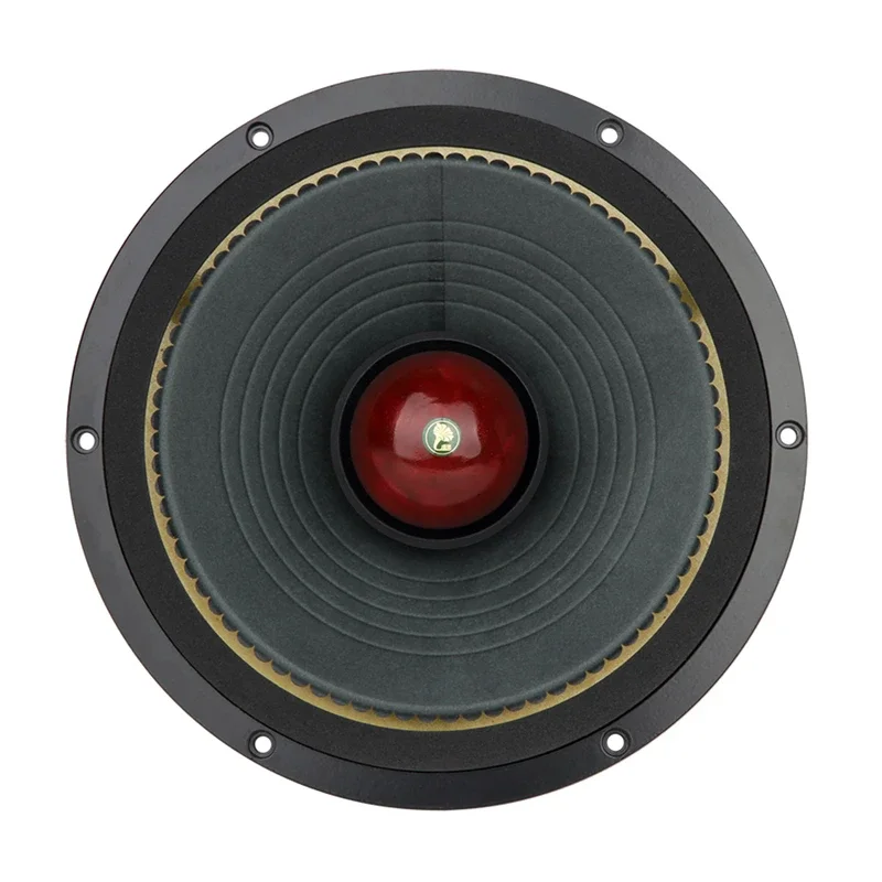 

AUDIO 10 Inch Co-balt Magnetic Full Frequency MUSIC-10 Full Range Speaker Power 20-50W Sensitivity 94.7dB (2.83V/1m)