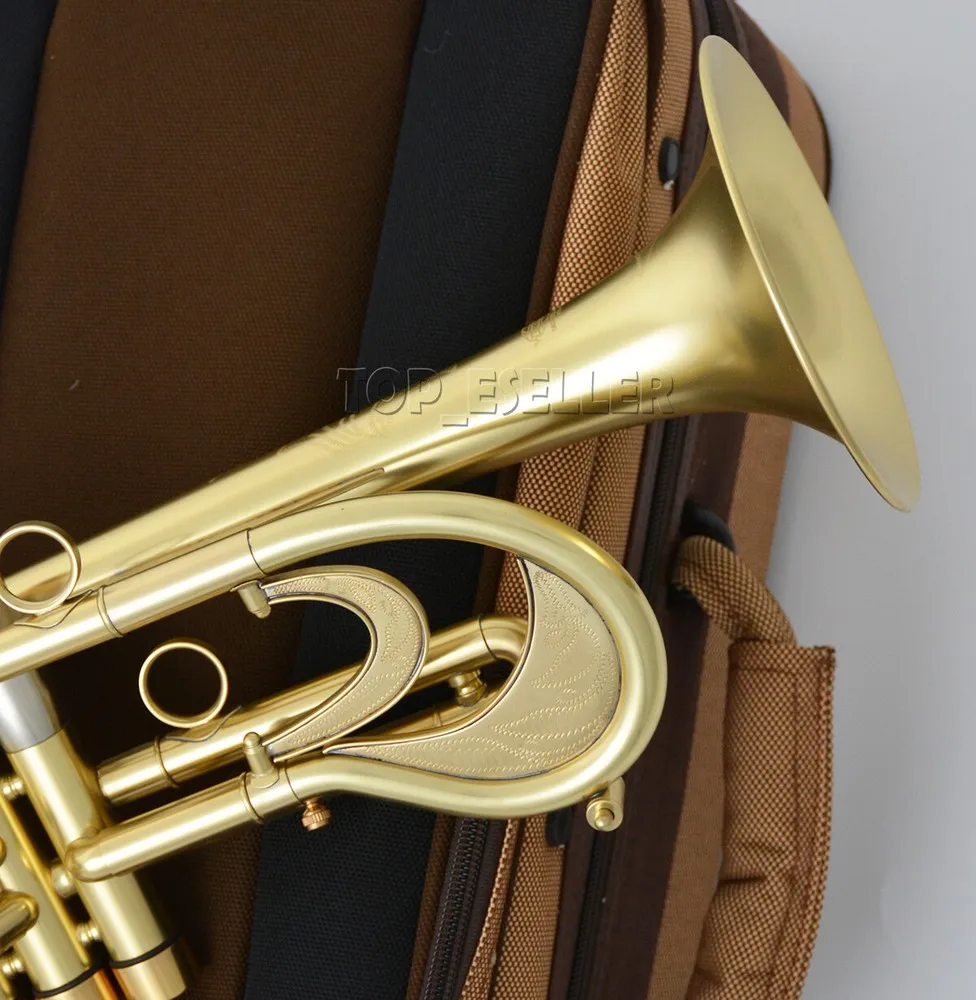 

Профессиональная труба Bb по индивидуальному заказу, рог Flumpet с матовой отделкой, большой колокольчик диаметром 136 мм, 2025 г.