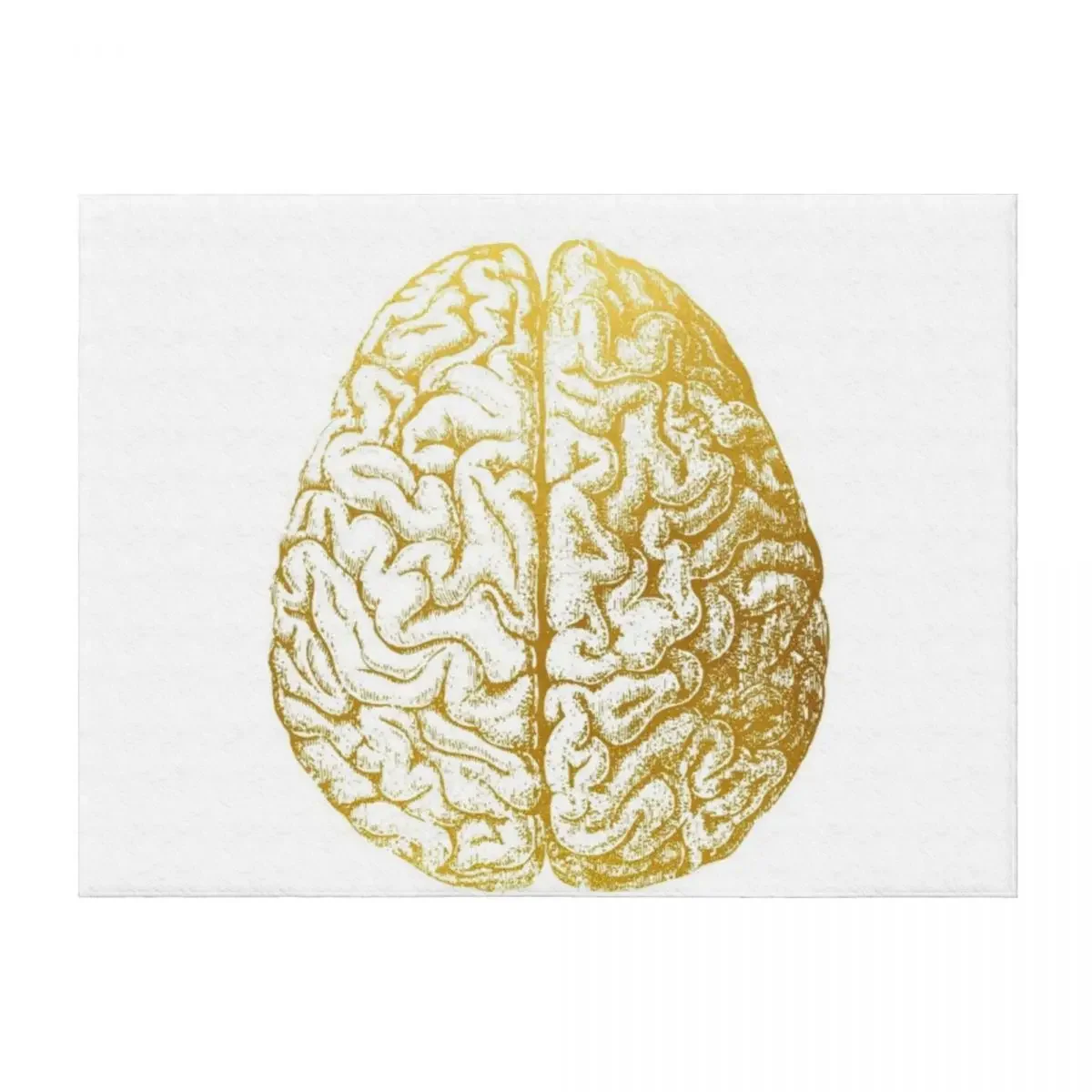 

Human Brain Throw Blanket Tourist Decorative Throw Shaggy Bed covers Blankets
