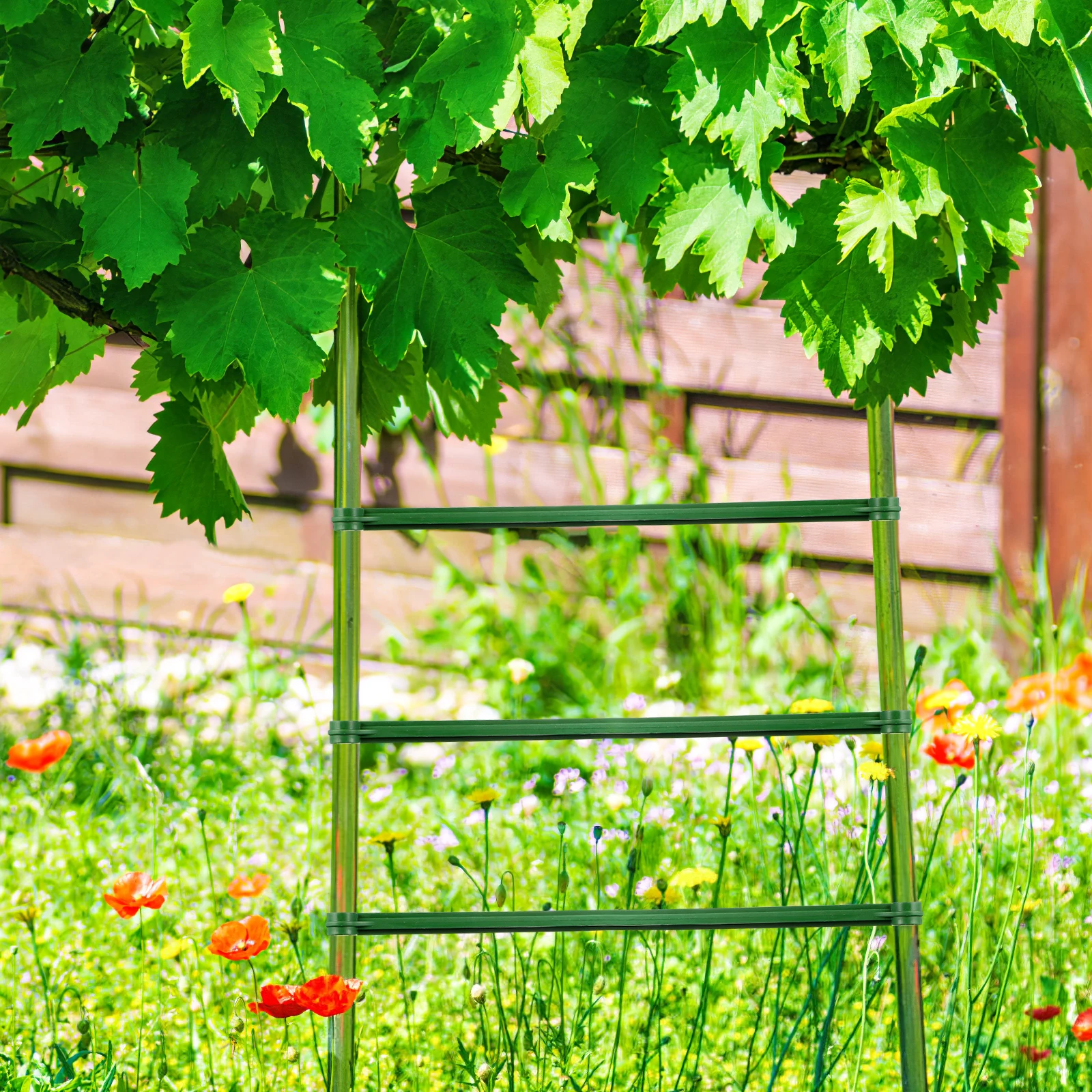 

24Pcs Plastic Connecting Rod Brackets Gardening Expandable Rods 30Mm for Tomato Cucumber Vine Climbing Plant Support Trellis